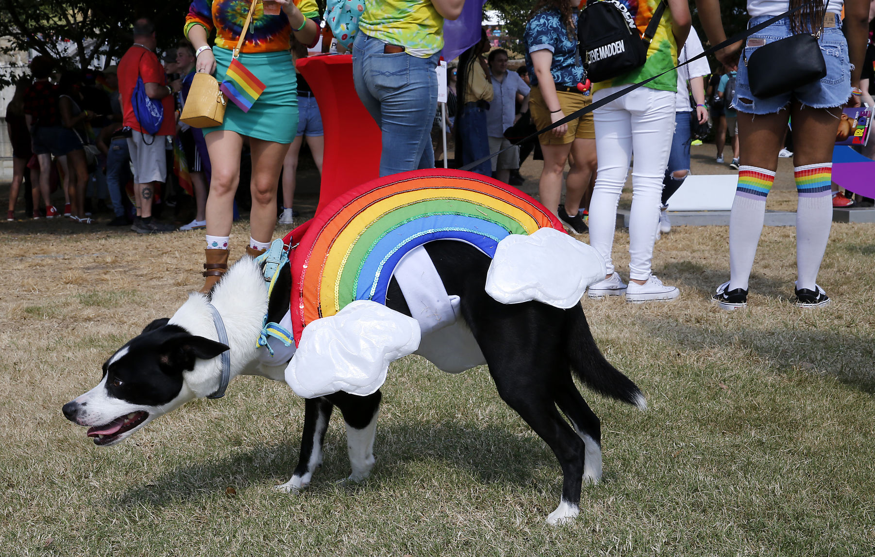 20190929_MET_PRIDE_08